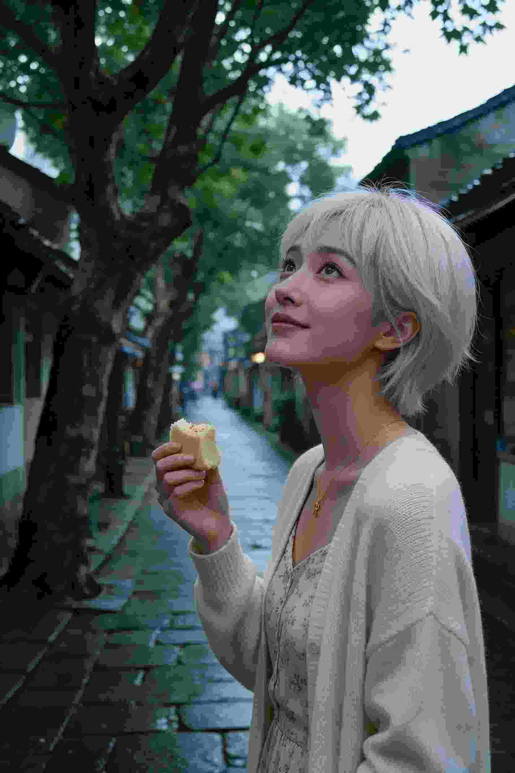影之传承
